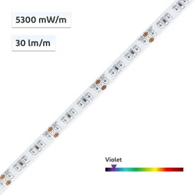 YUJILEDS Violet LED Flexible Strip - 120 LEDs/m - 5m/Reel