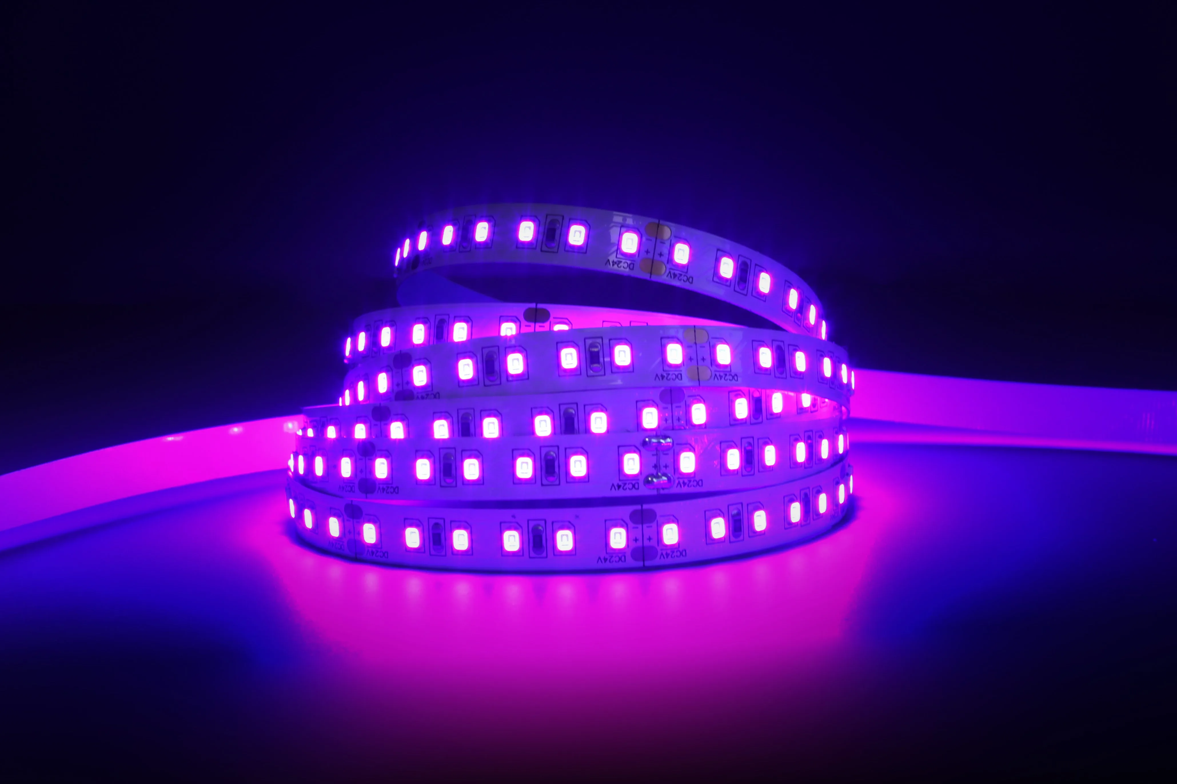 YUJILEDS Violet LED Flexible Strip - 120 LEDs/m - 5m/Reel