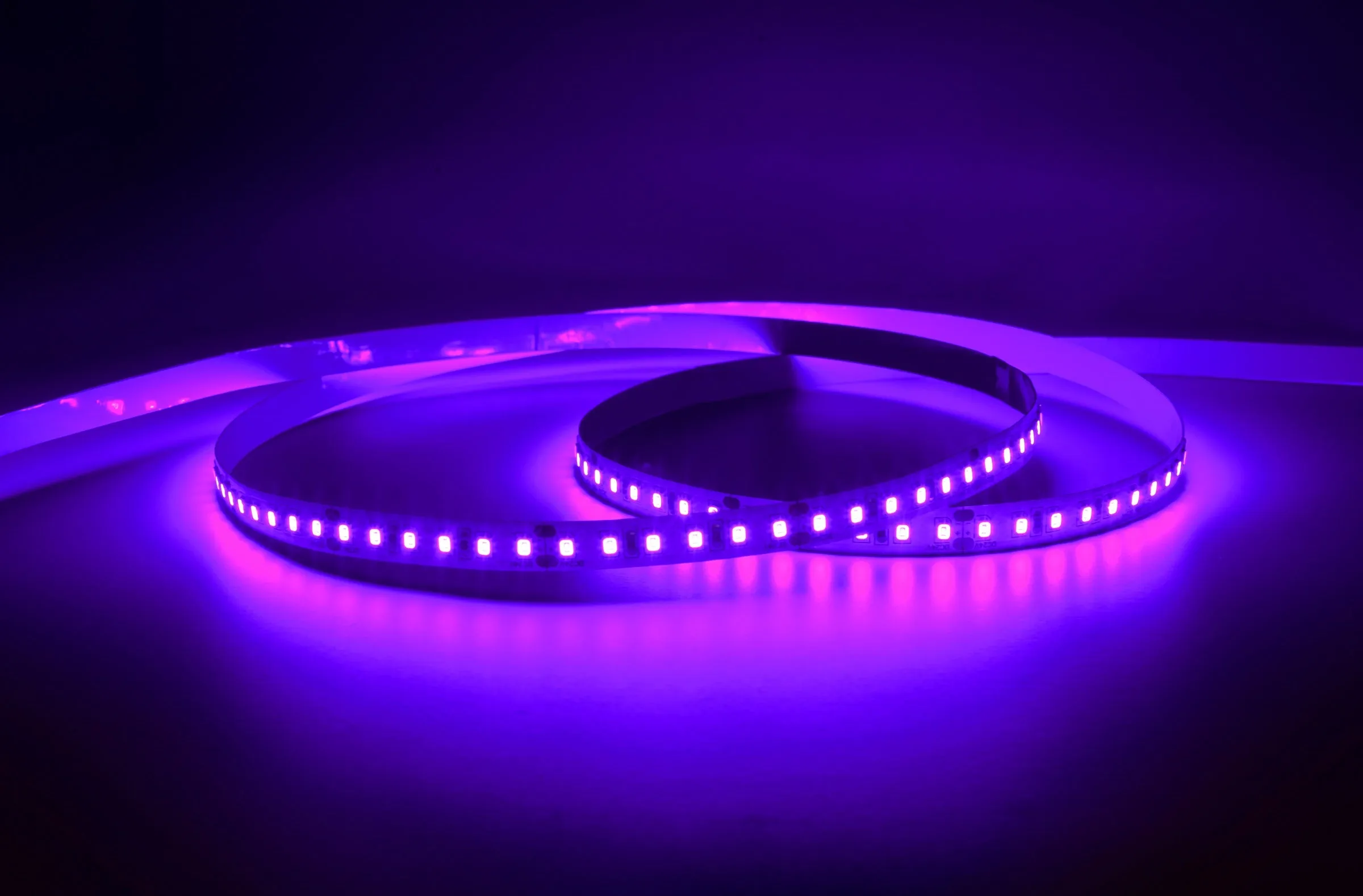 YUJILEDS Violet LED Flexible Strip - 120 LEDs/m - 5m/Reel